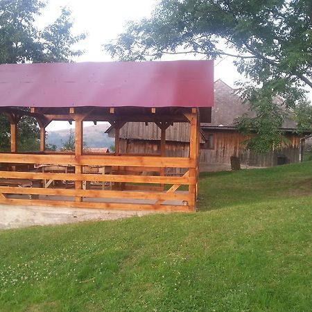 Cabana Bunicilor Rachitele Ngoại thất bức ảnh
